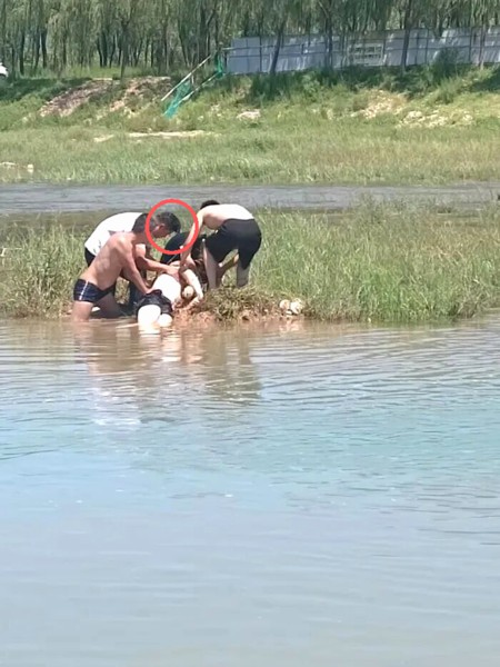 见有人不慎落水,济南四名途经市民不顾水下淤泥、深水隐患合力施救。受访者供图